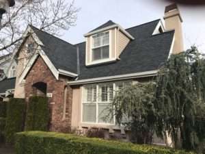 painters in issaquah