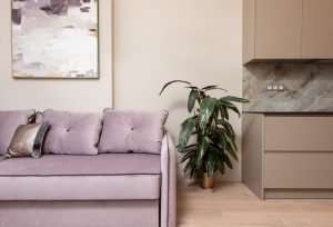 Best Color for Interior House Painting